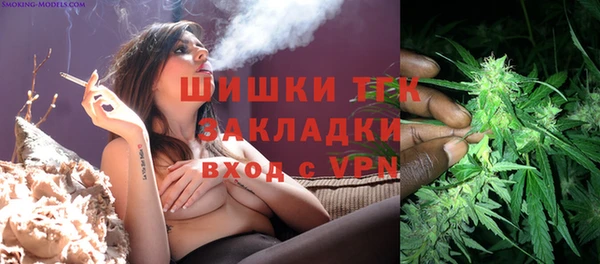PSILOCYBIN Богородицк