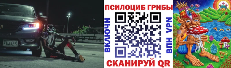 Псилоцибиновые грибы Magic Shrooms  гидра зеркало  Котельники 